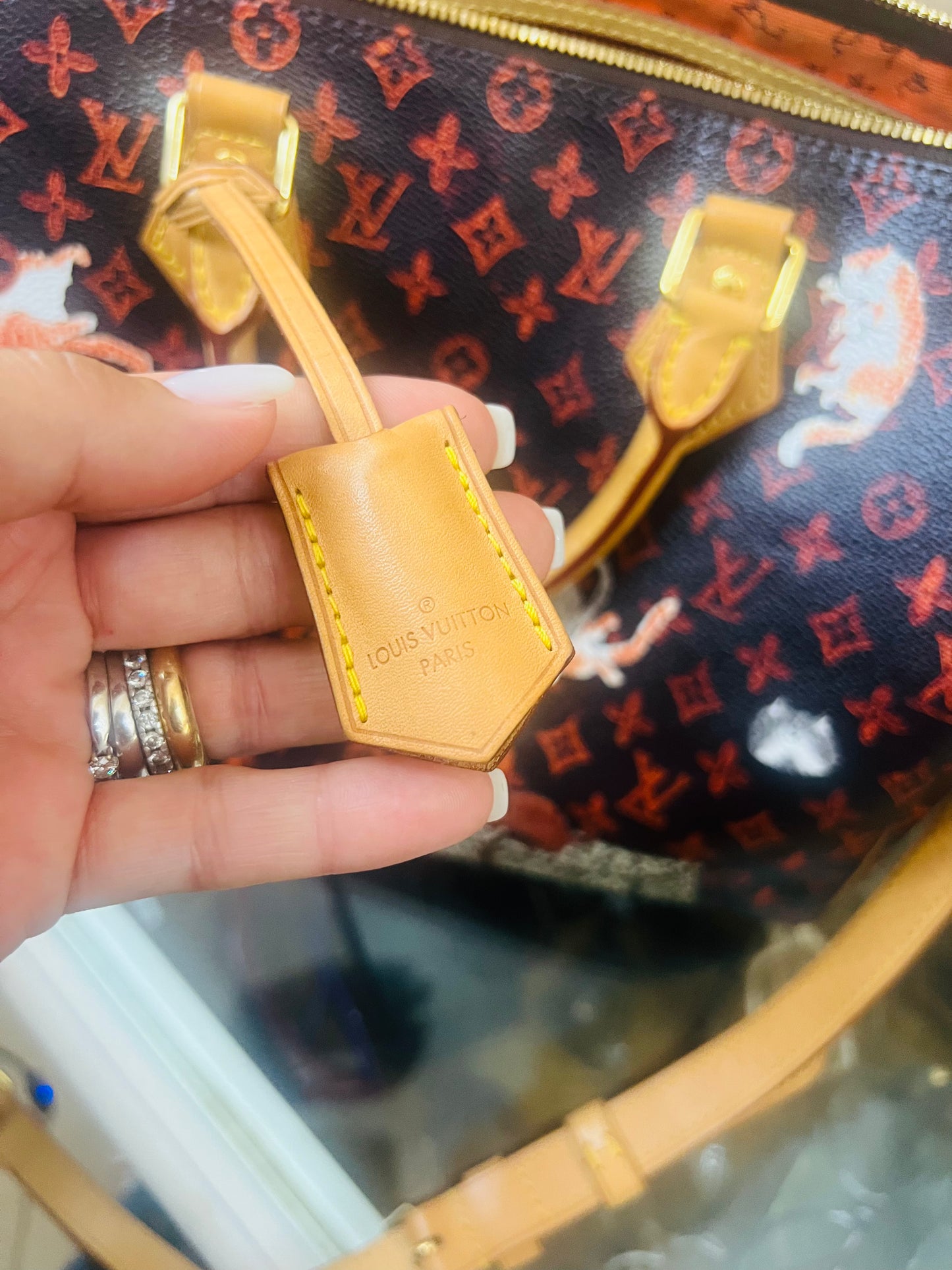 Louis Vuitton speedy edizione limitata