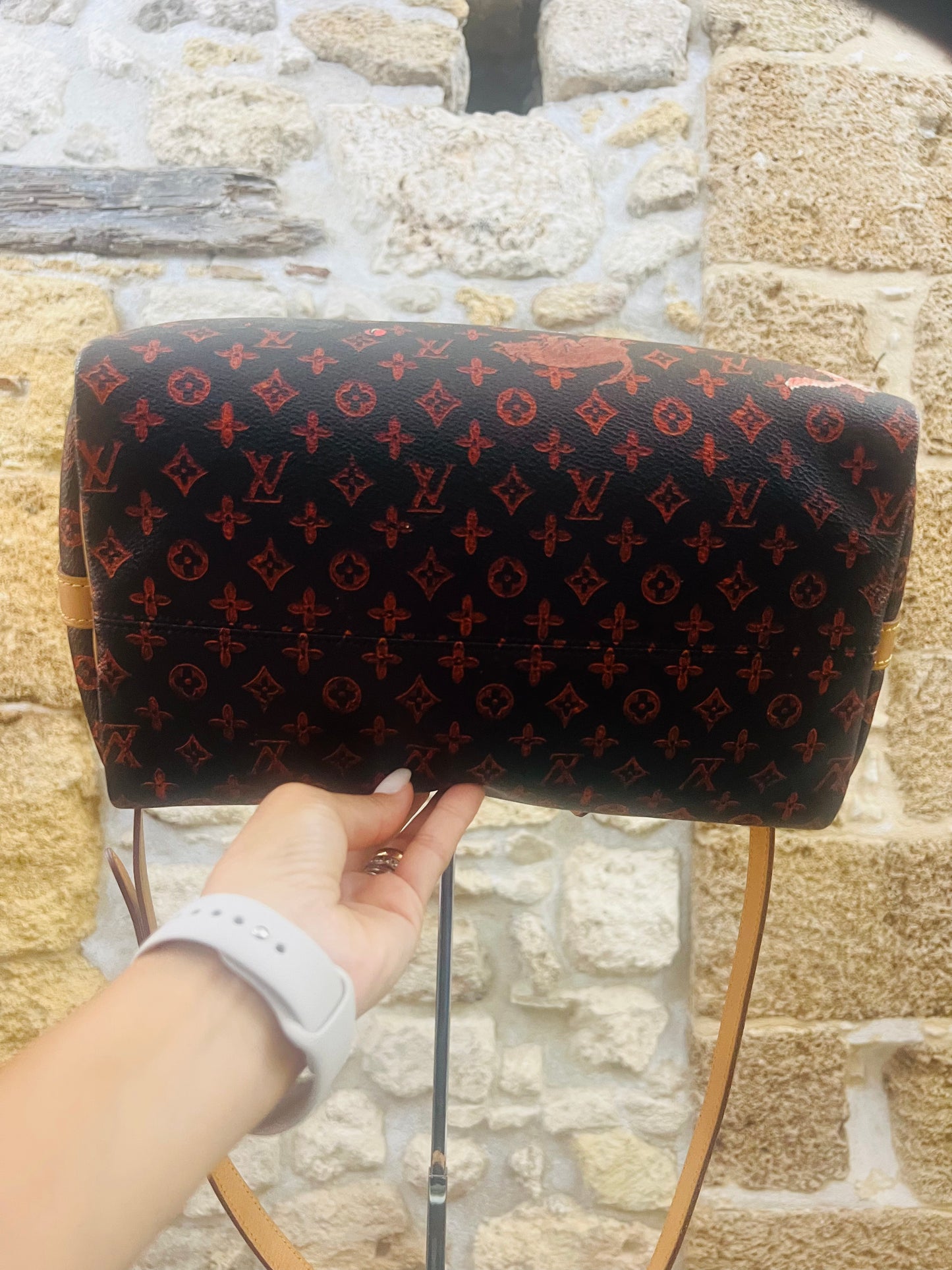 Louis Vuitton speedy edizione limitata