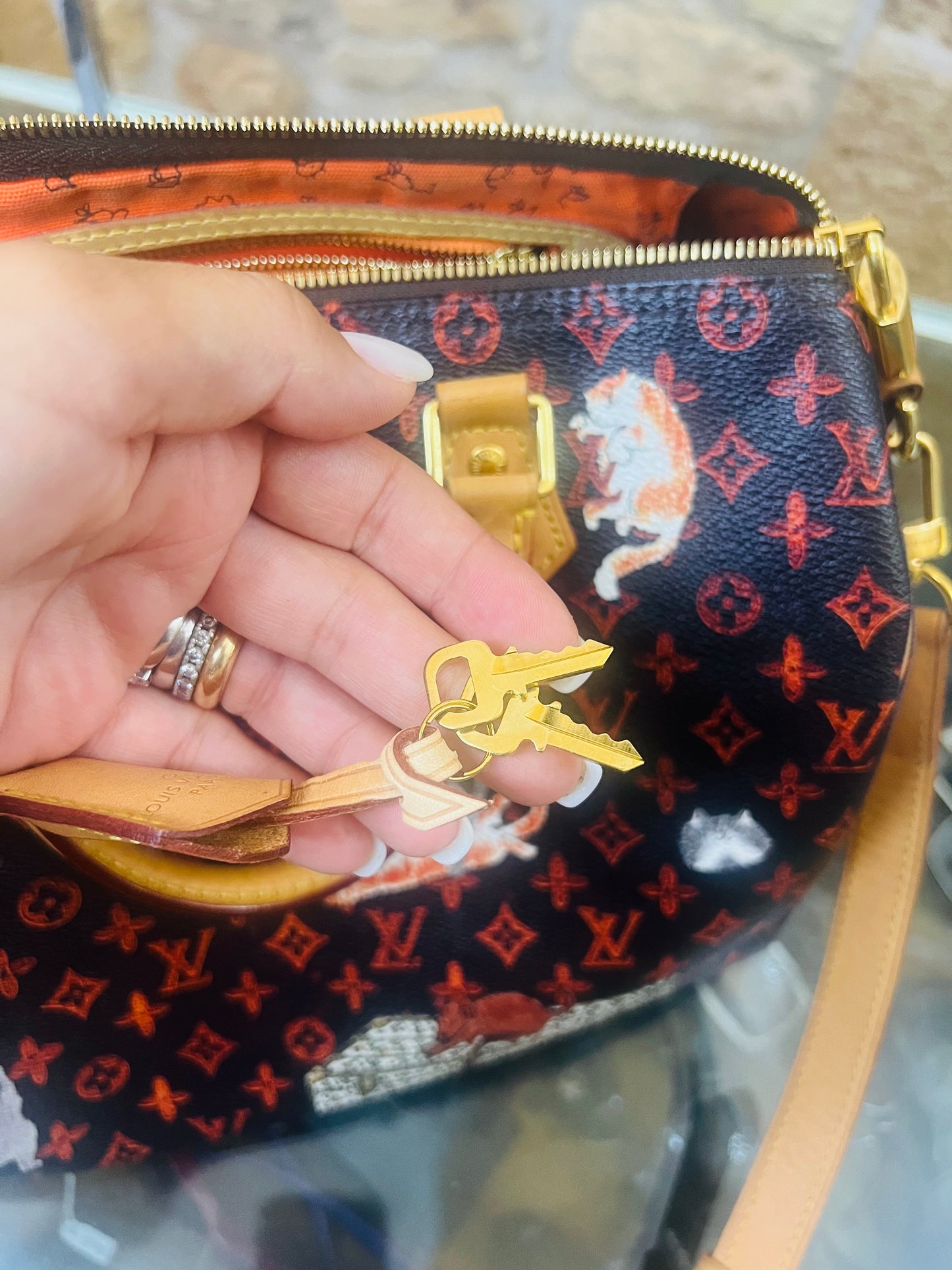 Louis Vuitton speedy edizione limitata