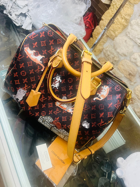 Louis Vuitton speedy edizione limitata