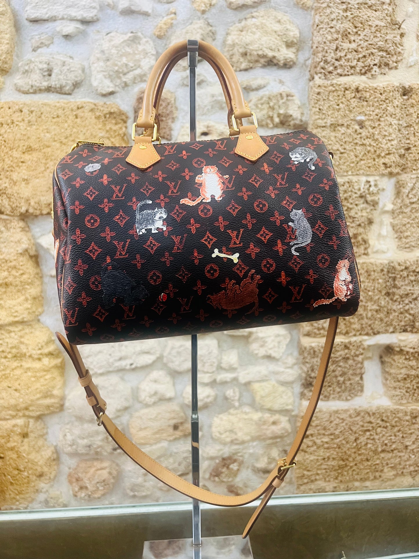 Louis Vuitton speedy edizione limitata